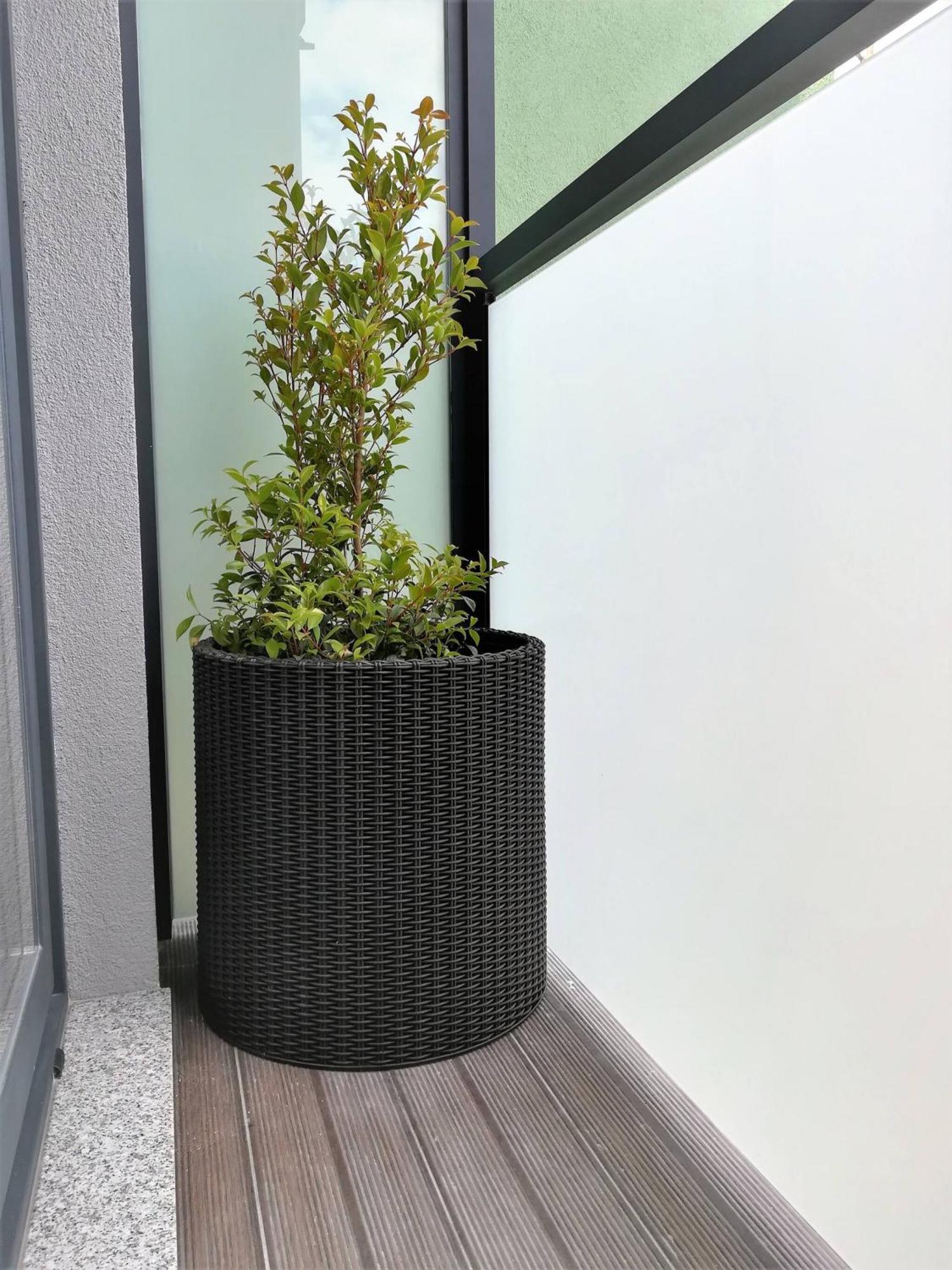 Aposentus - Your Home At Pinheiro'S Studio Porto Ngoại thất bức ảnh